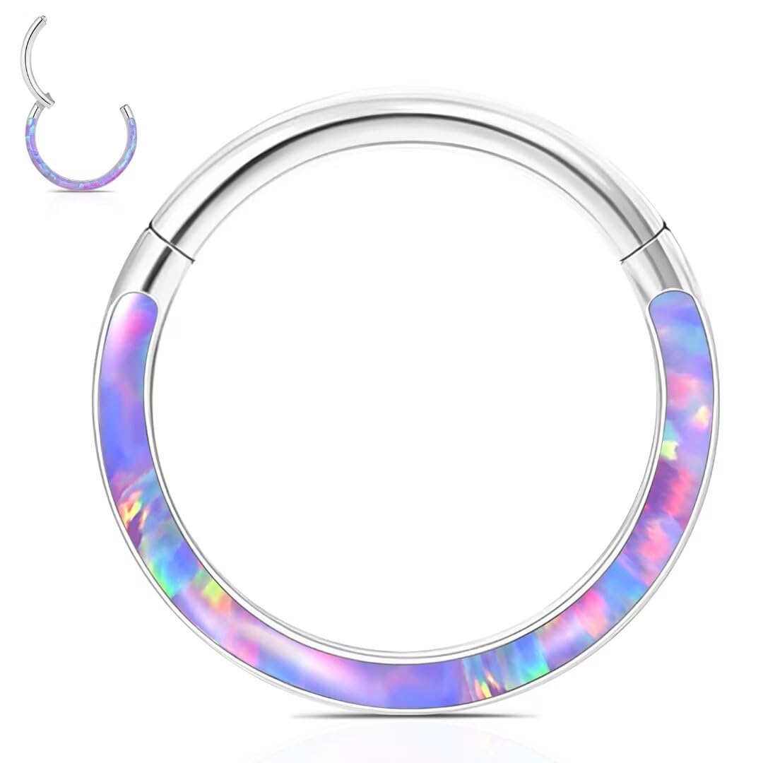 WBRWP 316L Stainless-Steel Flat-Piercing-Ring Hinged Nose-Rings-Hoop with Purple Opal 20G(0.8mm) Segment Clicker Lip Rings Daith