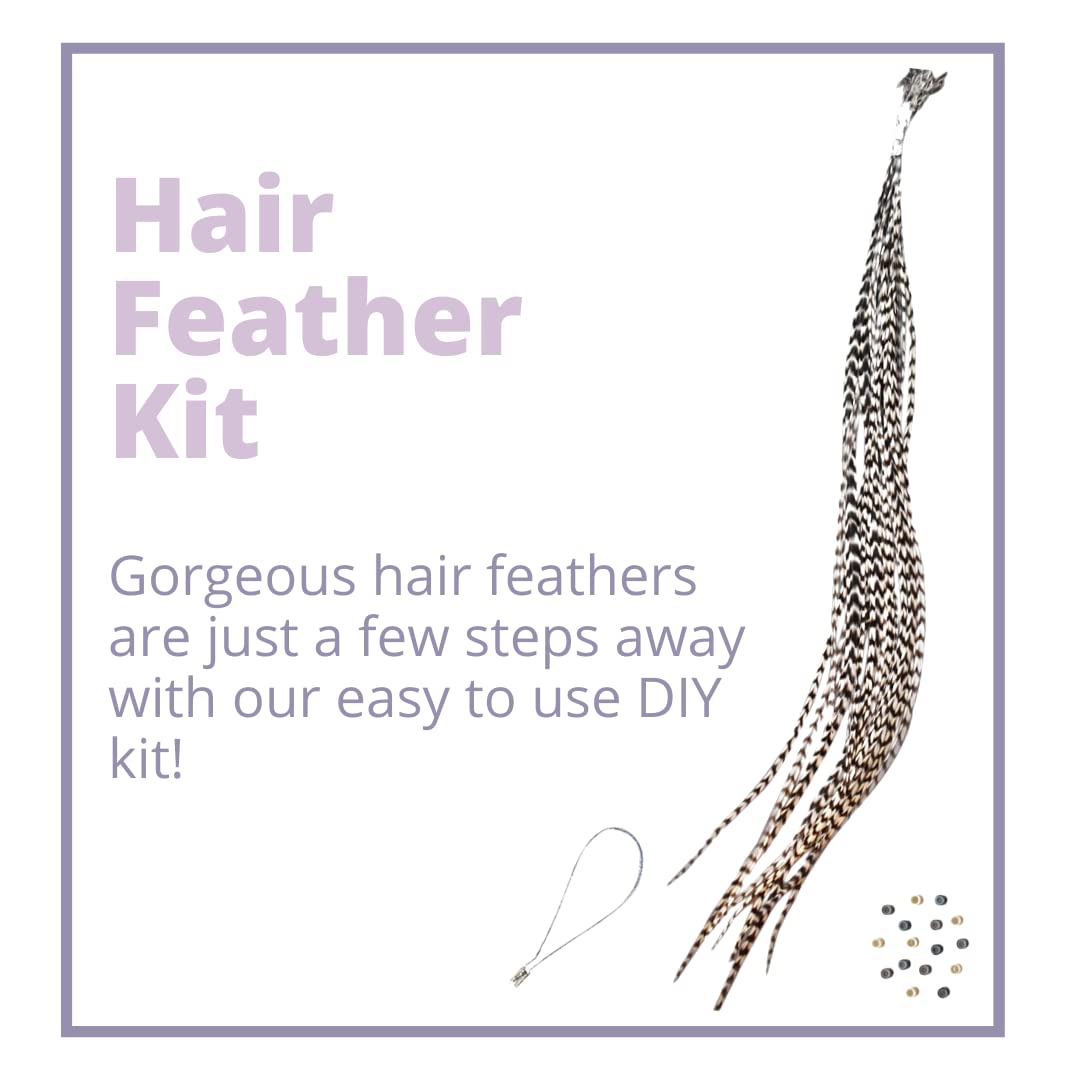 Hair Feathers Kit, 20 Long Feather Extensions with beads and loop tool kit, Black and White Striped,100% Real Rooster Feather Ac