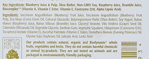 Blueberry Soy Night Recovery Cream By Eminence For Unisex - 2 Oz Cream