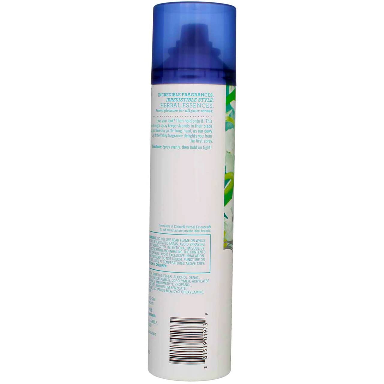 Clairol Clairol Herbal Essences Set Me Up Max Hair Spray