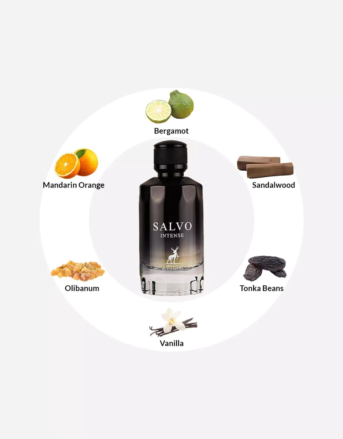 Maison Alhambra Salvo Intense for Men - 3.4 oz EDP Spray