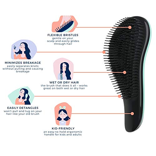 Crave Naturals Glide Thru Detangling Brush for Adults & Kids Hair - Detangler Brush for Natural, Curly, Straight, Wet or Dry Hai