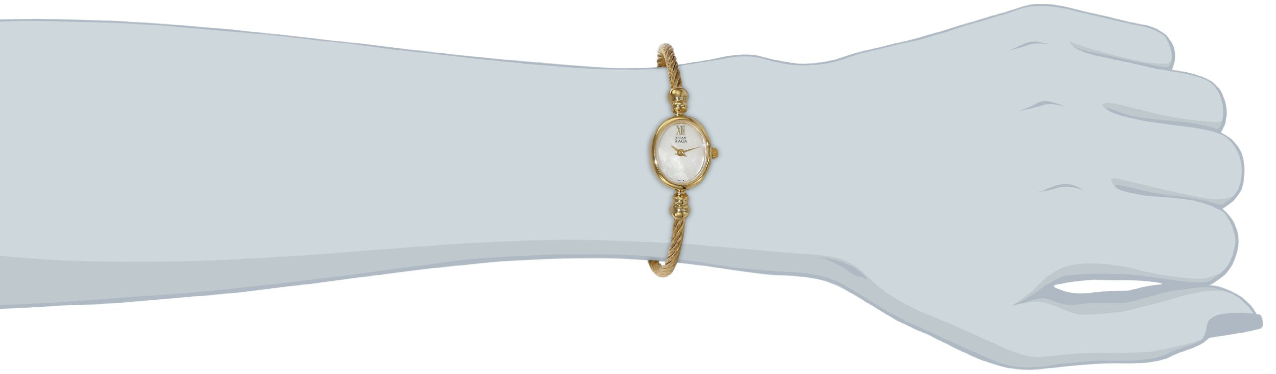 Titan WomenS Nj197Ym01 Raga Classic Dial Watch With Metal Case Analog Japanese Quartz Mother Of Pearl/Gold Watch