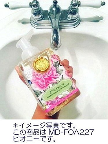 Michel Design Works Scented Foaming Hand Soap - Season's Greetings, Festive Fragrance