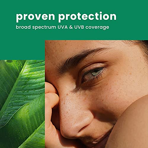 Hawaiian Tropic Weightless Hydration Lotion Sunscreen For Face Spf 30, 17Oz  Travel Size Face Sunscreen, Oil Free, Sunblock Face