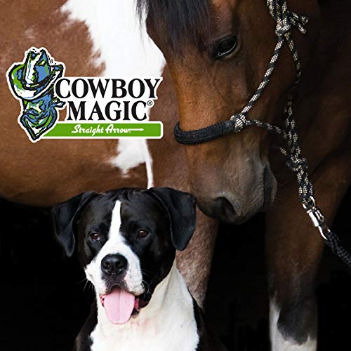 Cowboy Magic Shine in YELLOWOUT BRIGHTENS Hair Shampoo 32 Ounce