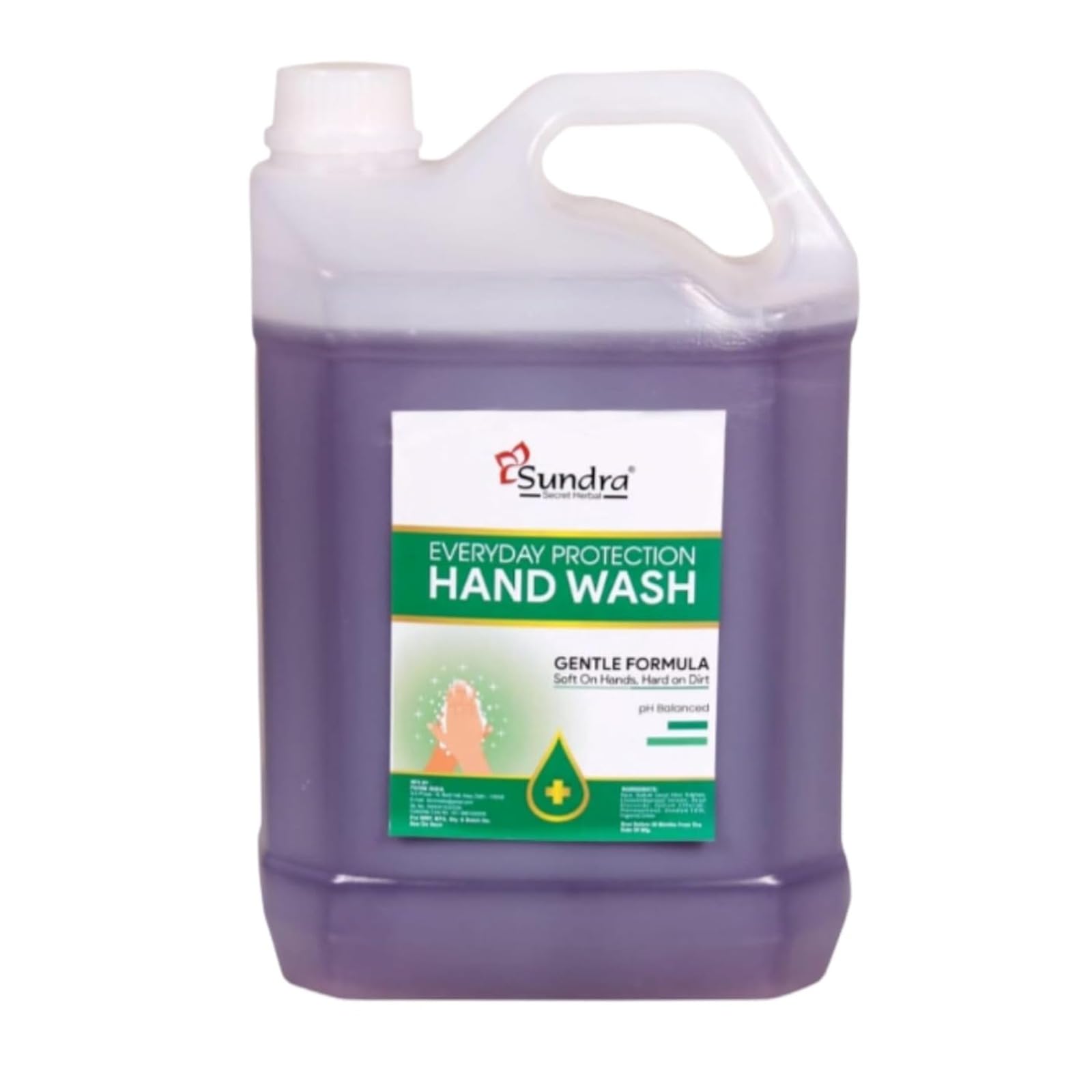 Sundra Everyday Protection Hand Wash Refill 4.5L  Gentle Handwash Soap Refill Pack  Antibacterial Hand Wash For Hygiene & Germ