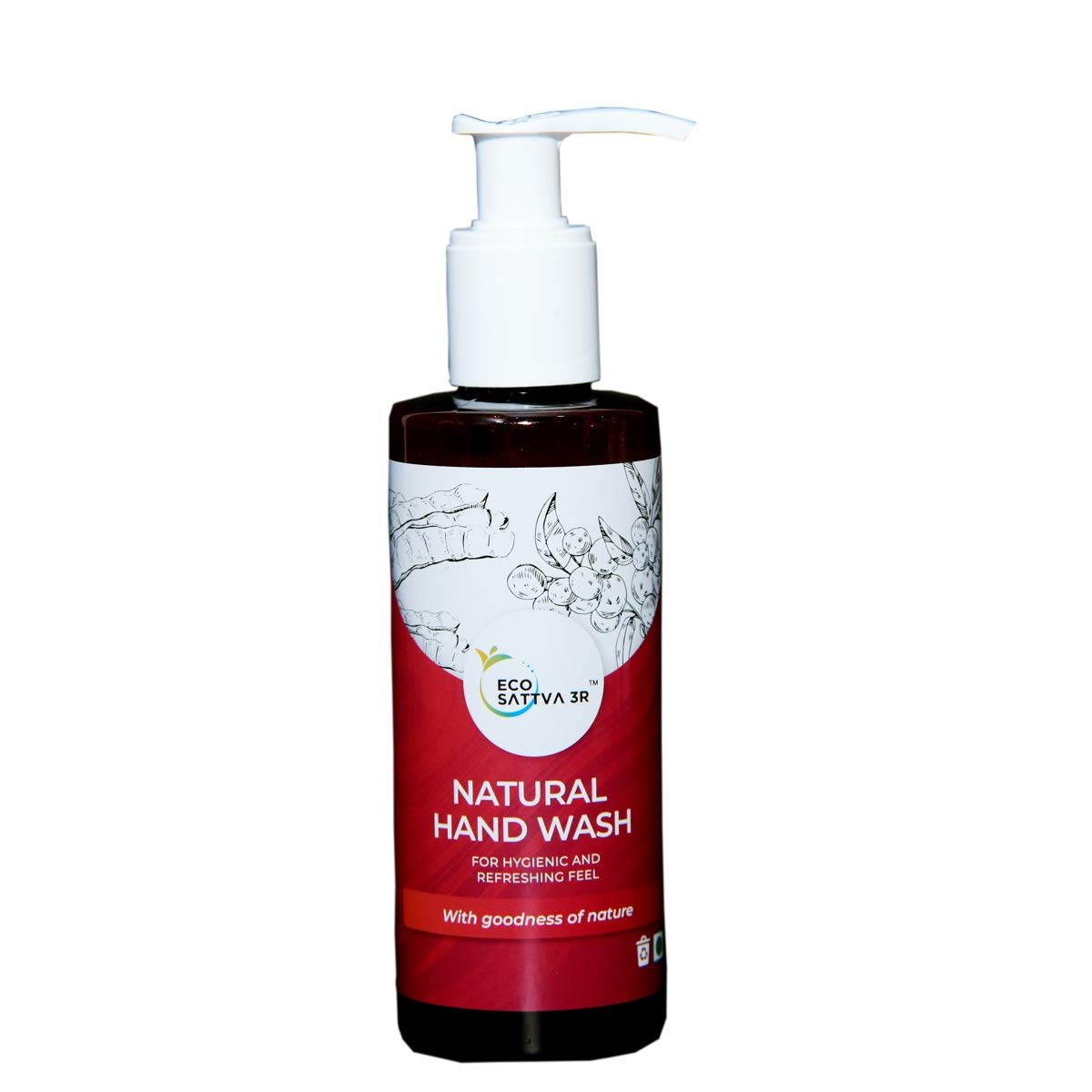 Brics Ecoswachh 3R Household Care Cleaners Hand Wash Liquid With Soapnut Extract And Citrus Fragrance Pack Of 2 X 200Ml For Dail