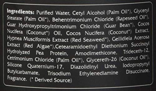 RENPURE Coconut Whipped Creme Leave-In Conditioner, Basic, 16 Fl Oz - Nourishing Hair Care Solution