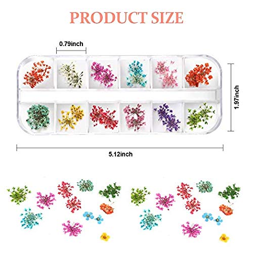 Teenior 24 Colors Nail Dried Flowers, 3D Nail Art Sticker For Tips Manicure Decor Mixed Accessories, Starry Leaves Flower (2 Box