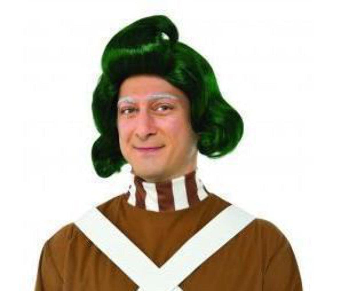 Rubie's womens Willy Wonka & The Chocolate Factory Oompa Loompa Costume Wig, As Shown, One Size US