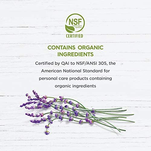Anti-Dandruff Medicated Conditioner Avalon Organics 14 fl oz Liquid