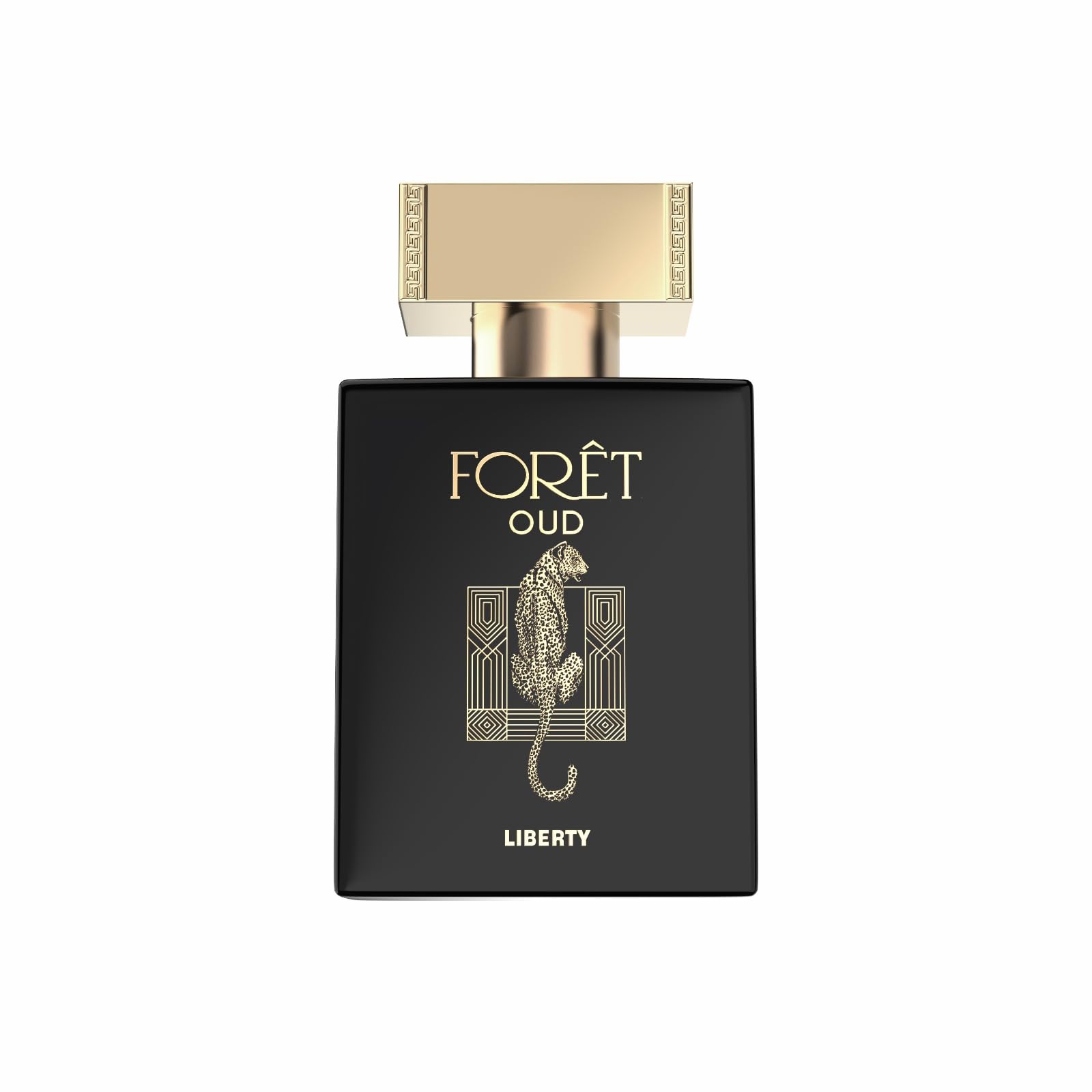 Liberty Oud Perfume for Men, 3.4 Oz Foret Premium Oud Perfumes Anniversary Edition Long-Lasting Eau de Parfum, Luxury Woody Frag