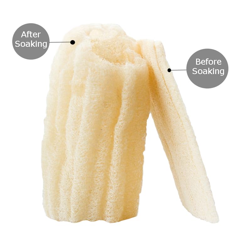 2 Natural Egyptian Loofahs Exfoliating Scrubber For Shower, Natural Loofah Sponge Body Scrubber, Deep Clean & Invigorate Your Sk