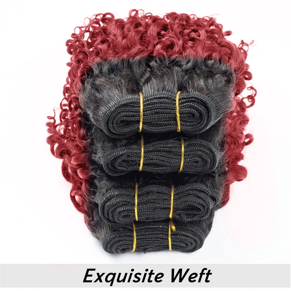 Selina 1B/Bug Brazilian Curly Hair Bundles 4 Bundles Kinky Curly Bundles Short Human Hair Brazilian Virgin Human Hair 50 Gram/Bu