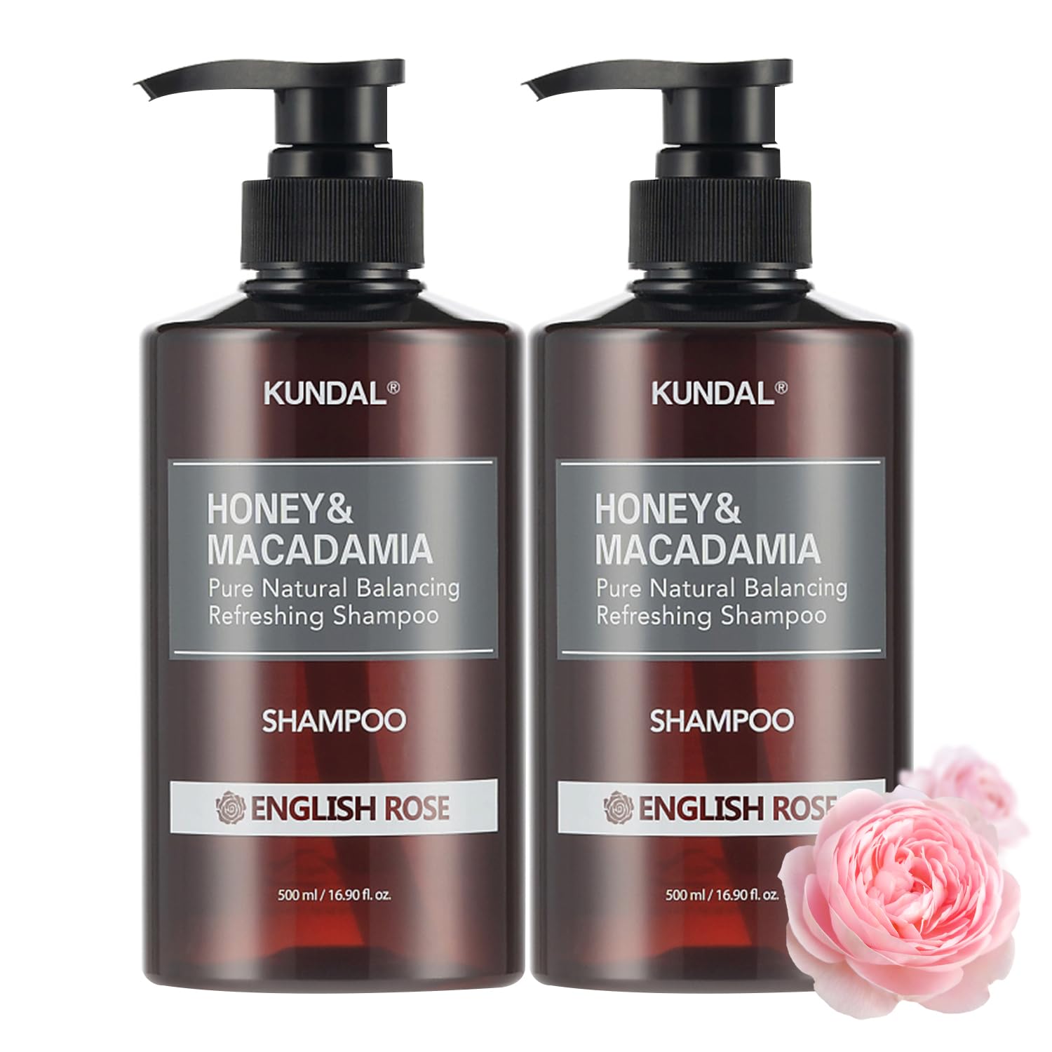 Kundal Honey&Macadamia Hydro-Intensive Protein Premium Nature Hair Shampoo [English Rose] Sulfate Free, Macadamia Oil for Damage