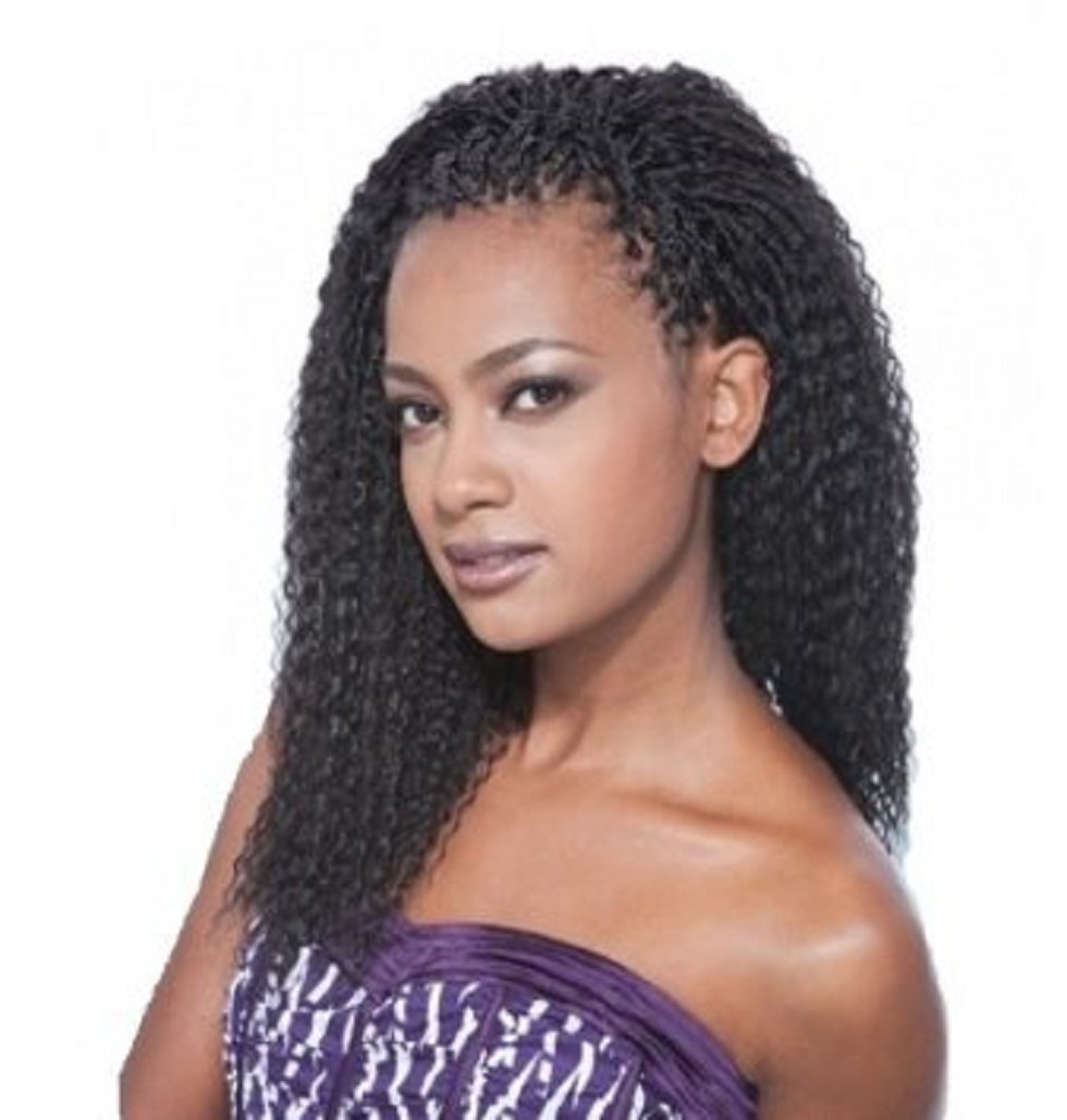 Shake N Go Freetress Braid Bulk - BRAZILIAN BRAID 20'' (2)