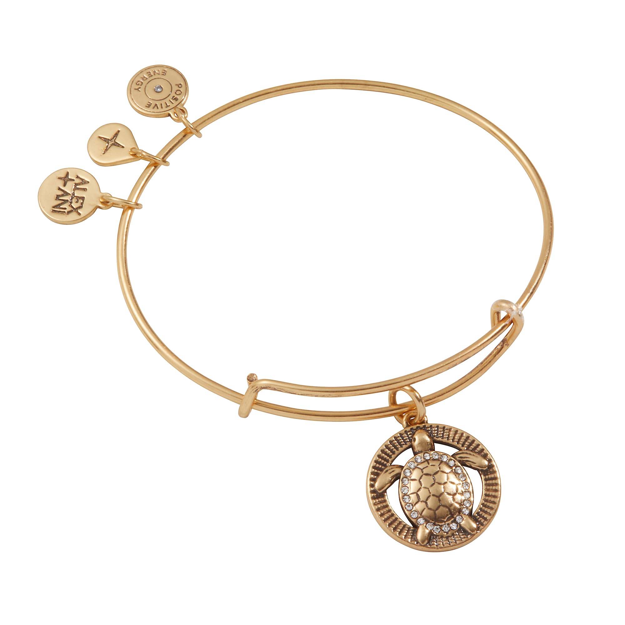 Alex and Ani Turtle Charm Bangle