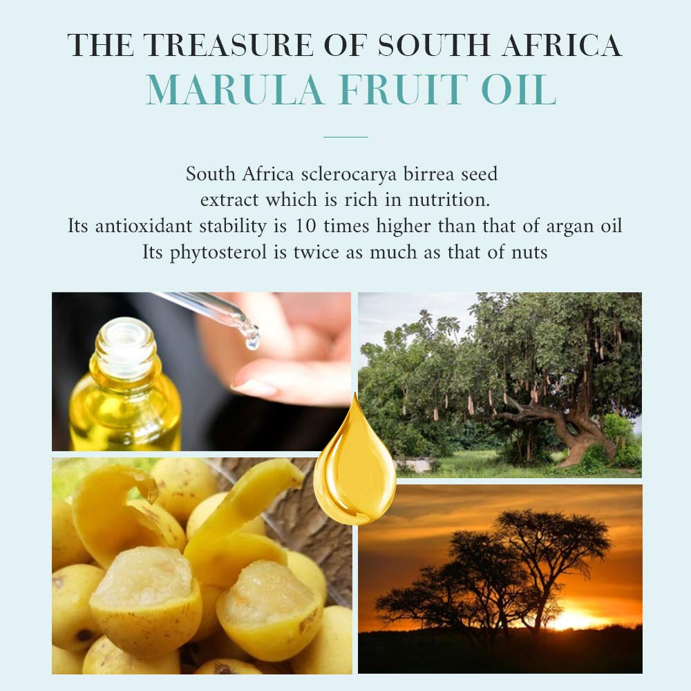 Oppeal Marula Oil Hotel Toiletries Round Soap Bar - 0.5 Oz Travel Size In Bulk - Individually Wrapped - Ambergris Scent - 120 Ba