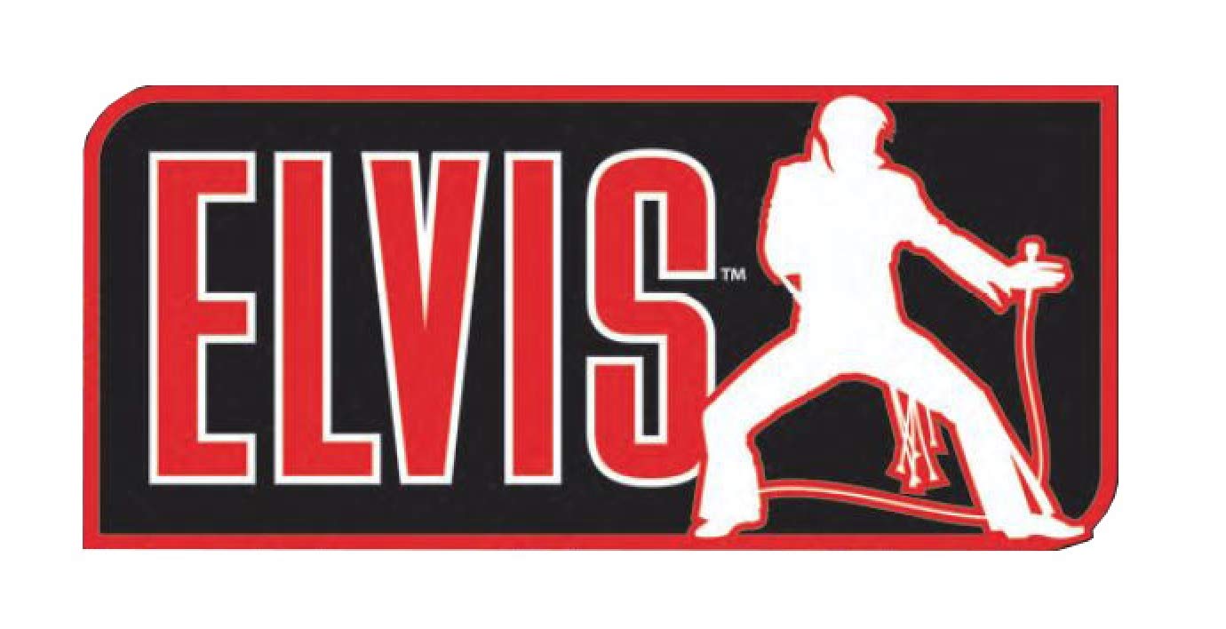 Rubie's mens Elvis Now, Black Wig Party Supplies, As Shown, One Size US
