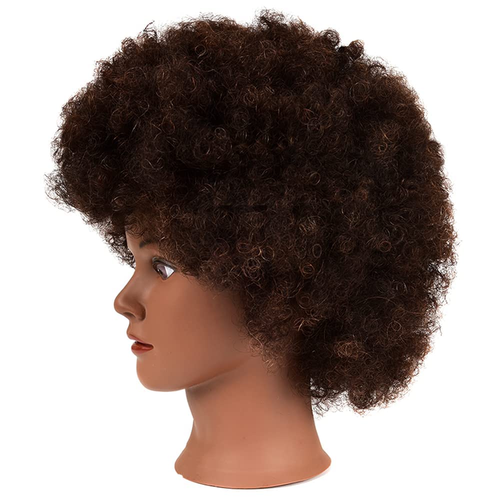 Afro Curly Mannequin Head with 100% Human Hair Curly Hair Hairdresser Hair Styling Cosmetology Manikin Head Doll head for Hairdr