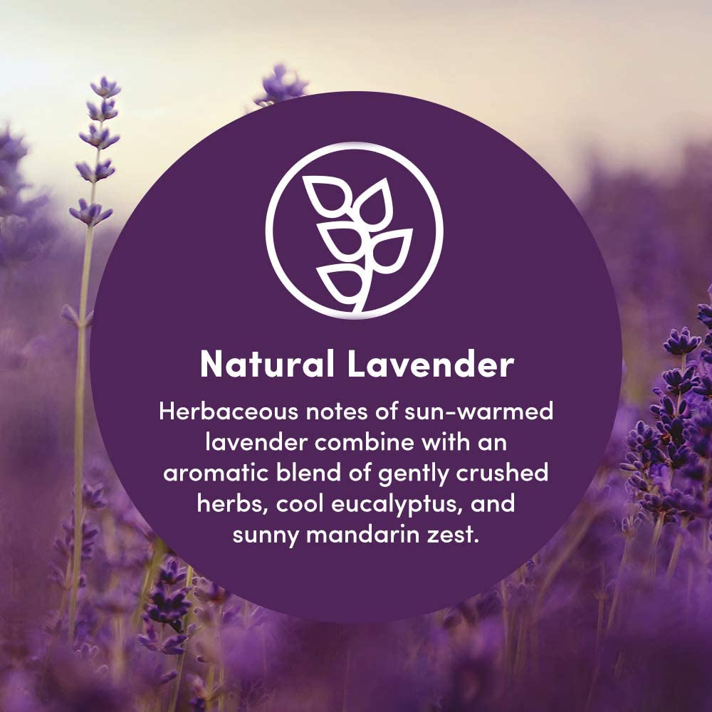 Clean Revolution Foaming Hand Soap Refill - Natural Lavender, 128 Fl Oz, Ready to Use Formula