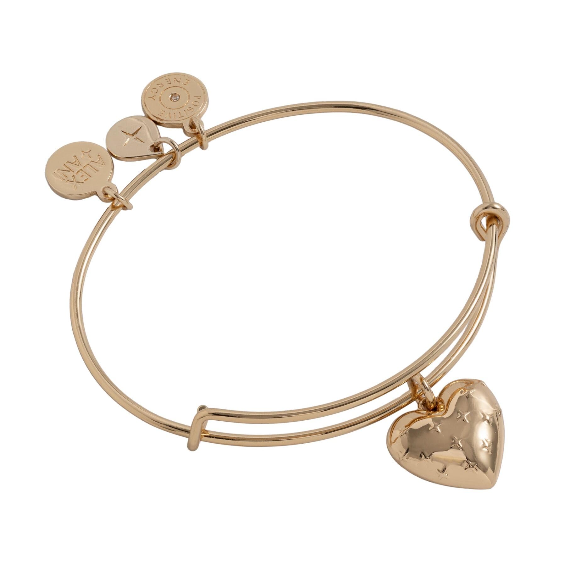 Alex and Ani Metal Heart Charm Bangle
