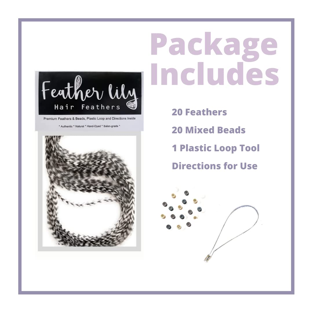 Hair Feathers Kit, 20 Long Feather Extensions with beads and loop tool kit, Black and White Striped,100% Real Rooster Feather Ac