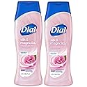Dial Moisturizing Body Wash - Silk & Magnolia - Net Wt. 16 FL OZ (473 mL) Per Bottle - Pack of 2 Bottles