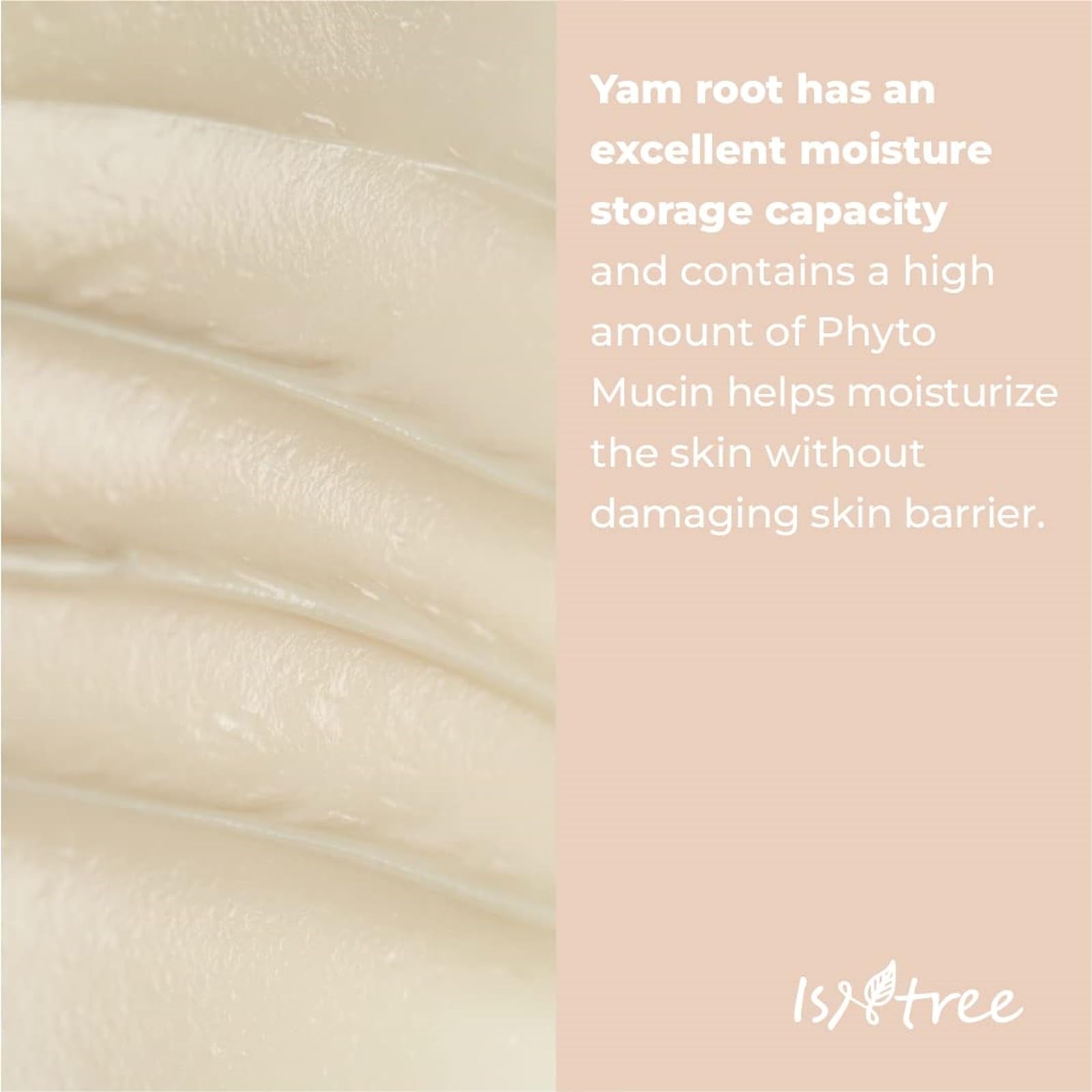 Isntree Yam Root Vegan Milk Cream 80Ml, 2.7 Fl.Oz | Nourishing Moisturizer | Vegan Milk Moisturizer | Korean Skincare