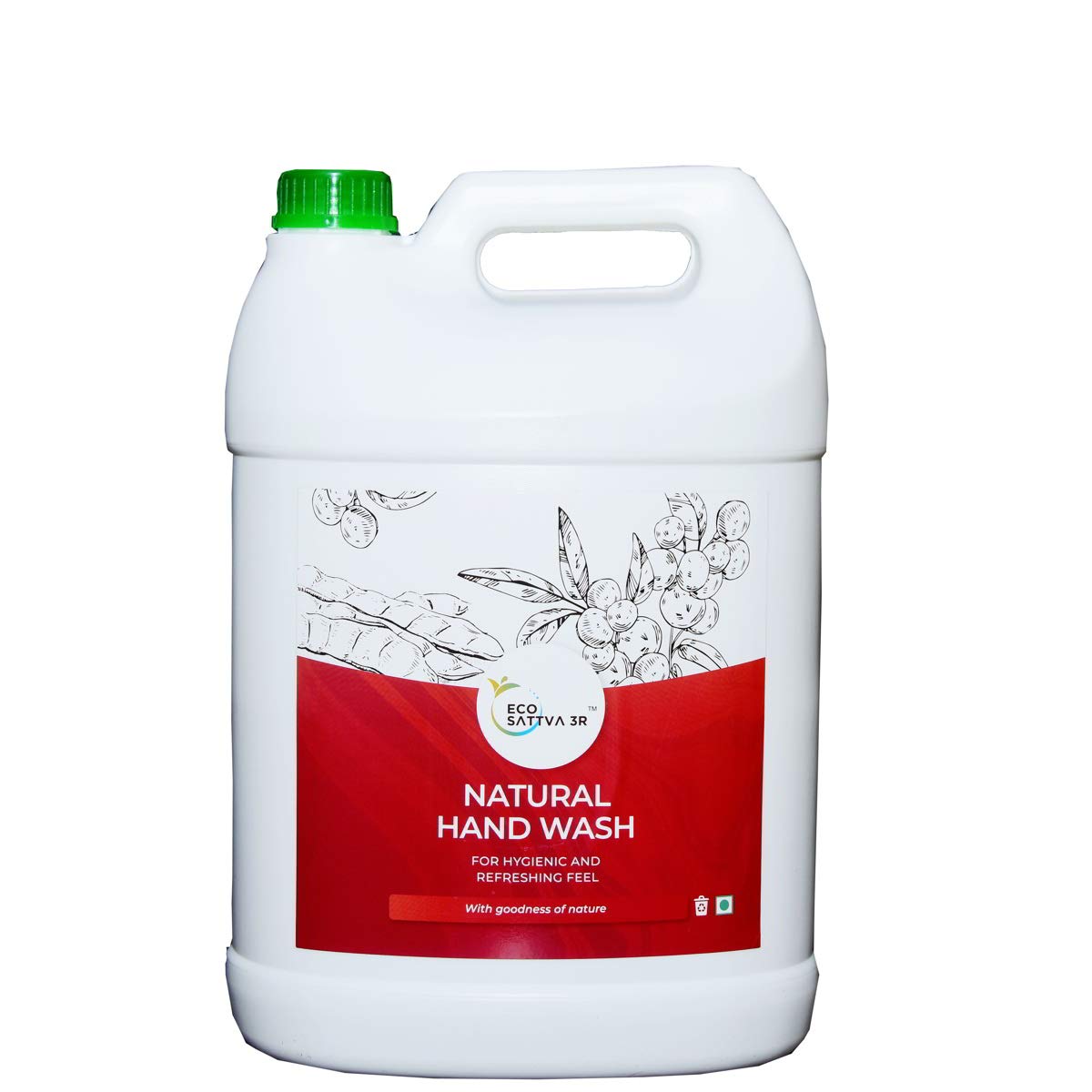 Brics Ecoswachh 3R Household Care Cleaners Hand Wash Liquid With Soapnut Extract And Citrus Fragrance For Daily Use 5L
