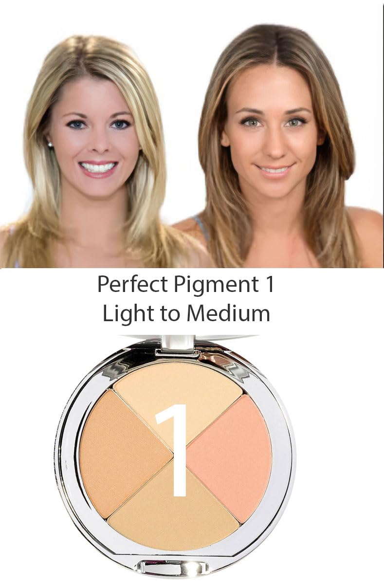 Christina Cosmetics Perfect Pigment Mineral Compact, 1 Count, Natural Skin Pigments, Model PP1_Compact