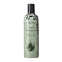 Hollywood Beauty Argan Shampoo 12 Oz