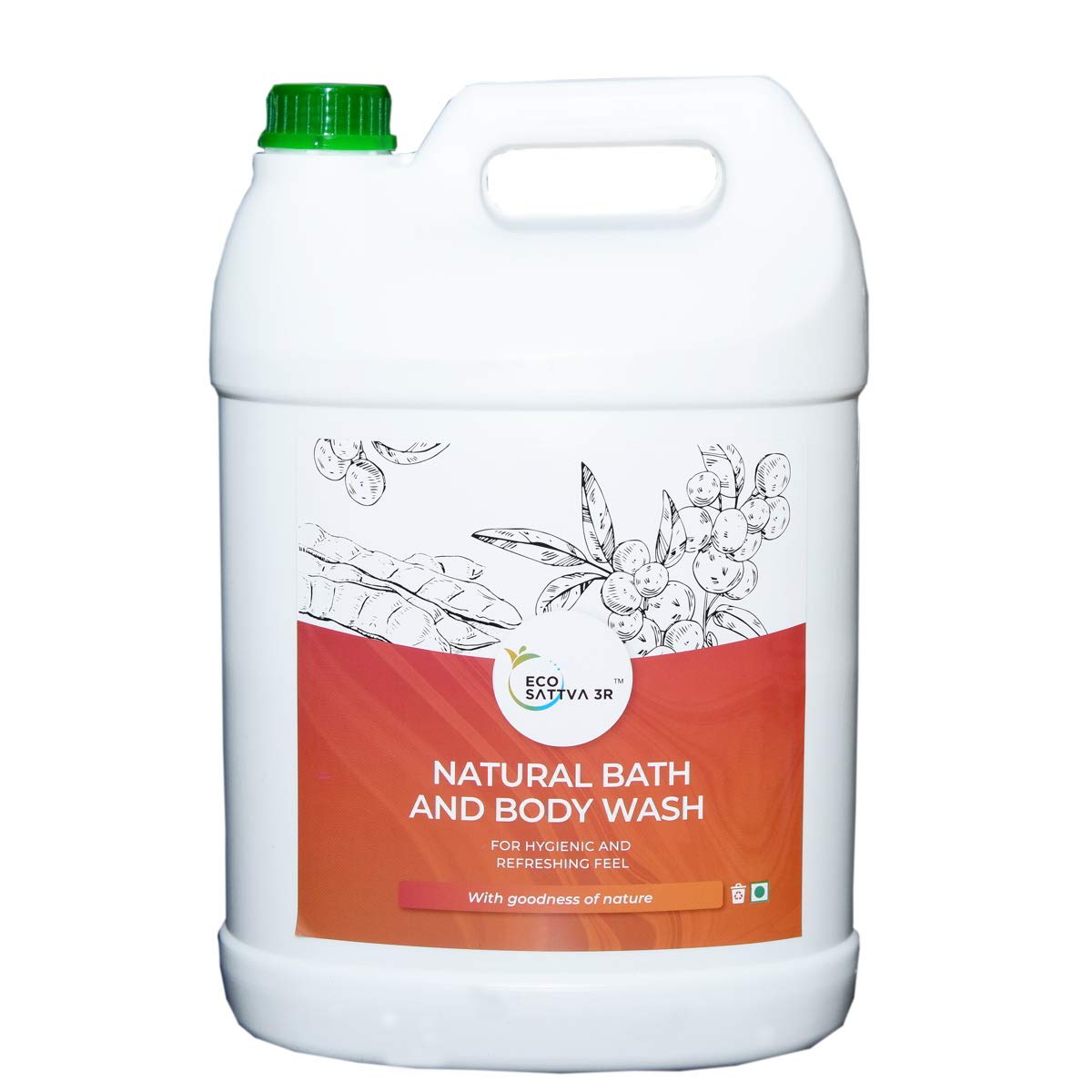 Brics Ecoswachh 3R Household Care Cleaners Bathroom Essential Combo With Bath & Body Wash, Face Wash, Hand Wash, And Shampoo 5L 