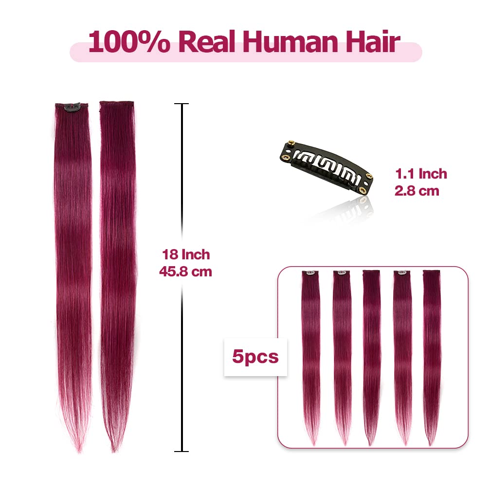 Winsky Burgundy Clip In Colored Hair Extensions 100% Real Human Hair - Straight Highlights Colored Clip On Christmas Hairpieces