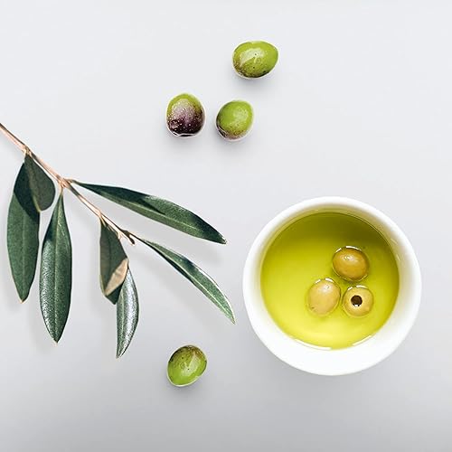 Eco Style Gel Olive Oil Styling - Adds Shine and Tames Split Ends - Delivers Moisture to Scalp - Nourishes And Repairs - Provide