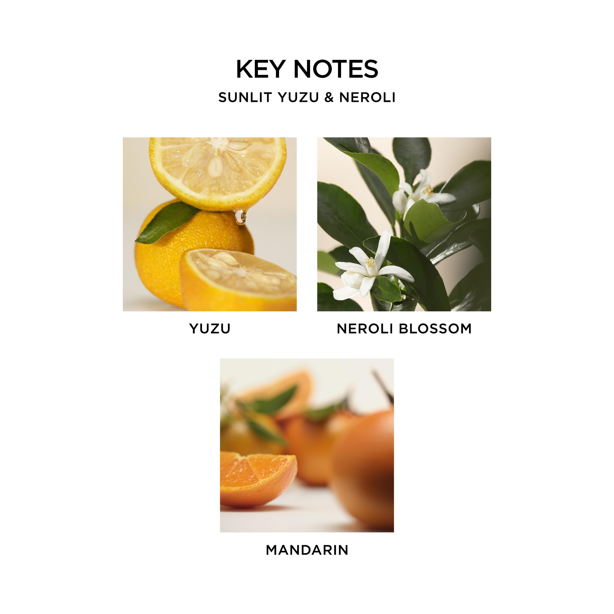 NEST New York Liquid Soap, Sunlit Yuzu & Neroli - 10 fl oz - Cleanses & Nourishes Skin - Approx. 300 Pumps Per Bottle - Gluten F