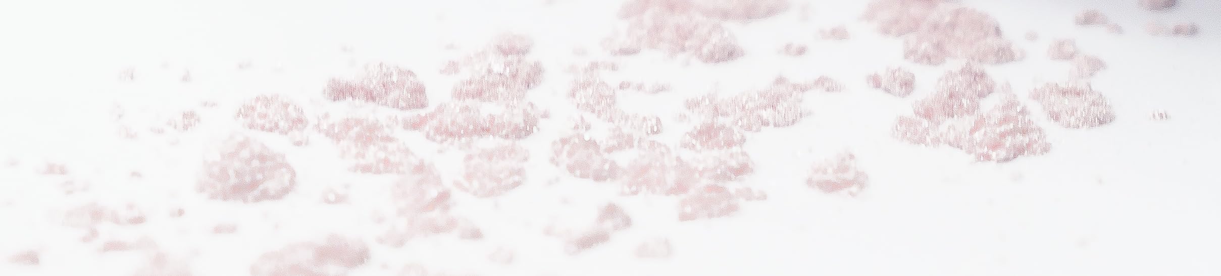 Pure Ziva Pixie Dust Light Pale Pink Metallic White Single Loose Powder Eyeshadow; Talc & Paraben Free, No Animal Testing & Crue