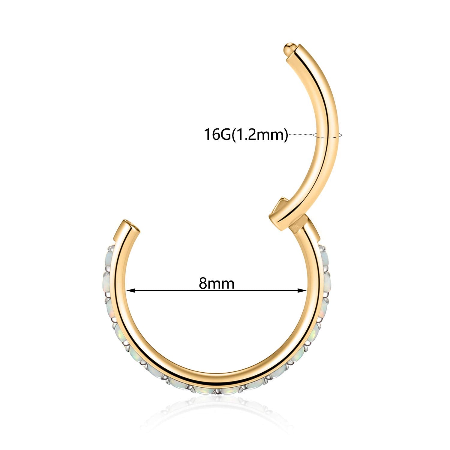FUNLMO Nose Rings Hoop Cartilage Earring Hoop Septum Jewelry Daith Helix Rook Earrings Septum Helix Tragus Daith Piercing Jewelr