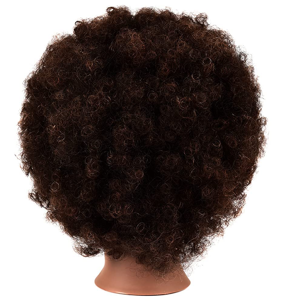 Afro Curly Mannequin Head with 100% Human Hair Curly Hair Hairdresser Hair Styling Cosmetology Manikin Head Doll head for Hairdr