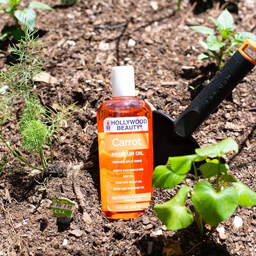 Hollywood Beauty Carrot Hair Oil, 8oz Bottle, Hair, Scalp, Skin, Nail, & Massage Oil, Helps Repair Damaged Hair & Skin, Can be U