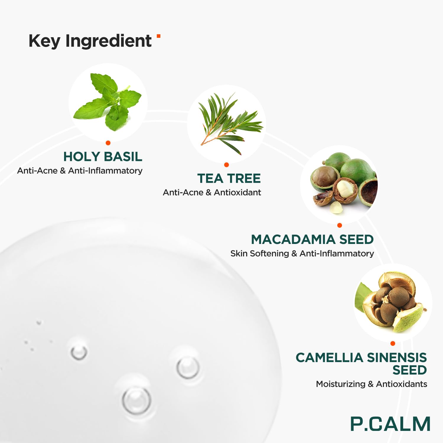 P.Calm Underpore Holy Basil Cleansing Oil 6.42 Fl.Oz | Instant Blackhead Reducing Non-Comedogenic Pore Control Cleansing Oil Wit