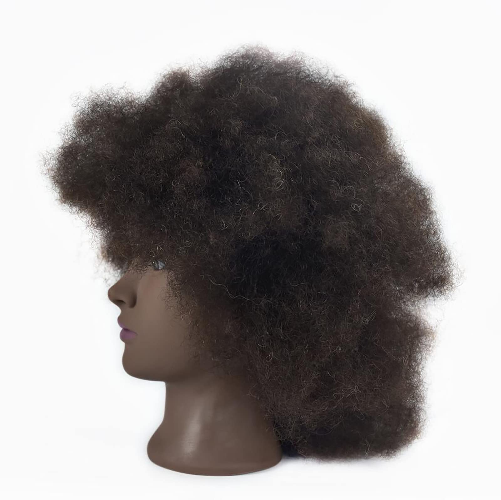 Mannequin Head African with 100% Human Hair Cosmetology Afro Hair Manikin Head for Practice Styling Braiding with Free Clamp