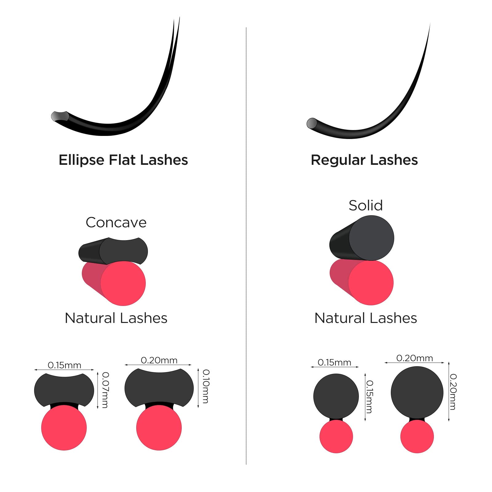 BEYELIAN Eyelash Extensions, Individual Lashes, 0.20mm C Curl 14mm Super Matte Classic Lash Extensions, Ellipse Flat Eyelash Ext