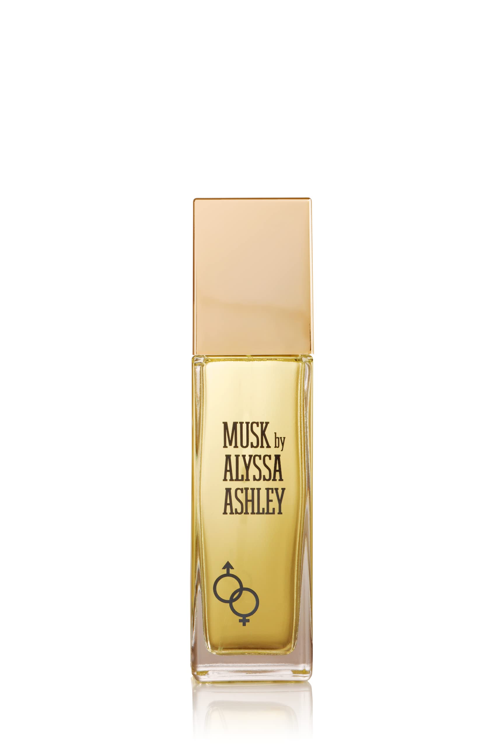Alyssa Ashley Musk By Alyssa Ashley For Women. Eau De Toilette Spray 3.4 Ounces