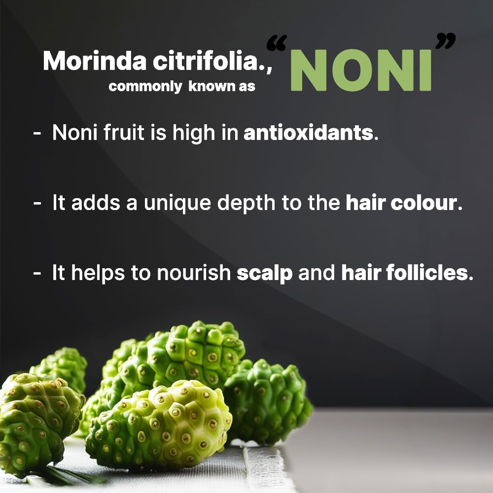 Bsy Noni Hair Color Shampoo - 6 Fl Oz - Pump Pack | No Ammonia | 3 In 1 - Hair Dye Shampoo, Conditioner For Women | Noni Fruit H