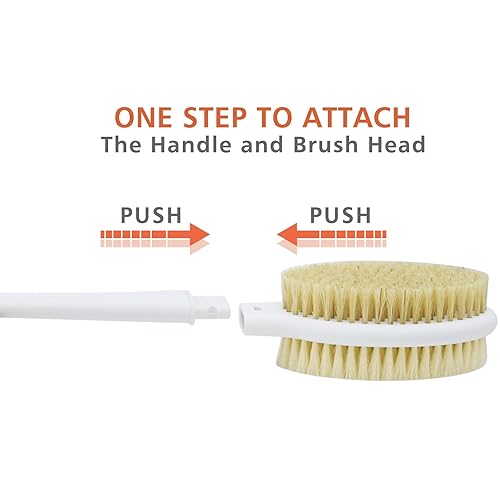 Shower Brush With Soft And Stiff Bristles,20.5'' Extra Long Handle Dual-Sided Back Scrubber Bath Brush Body Exfoliator For Wet O