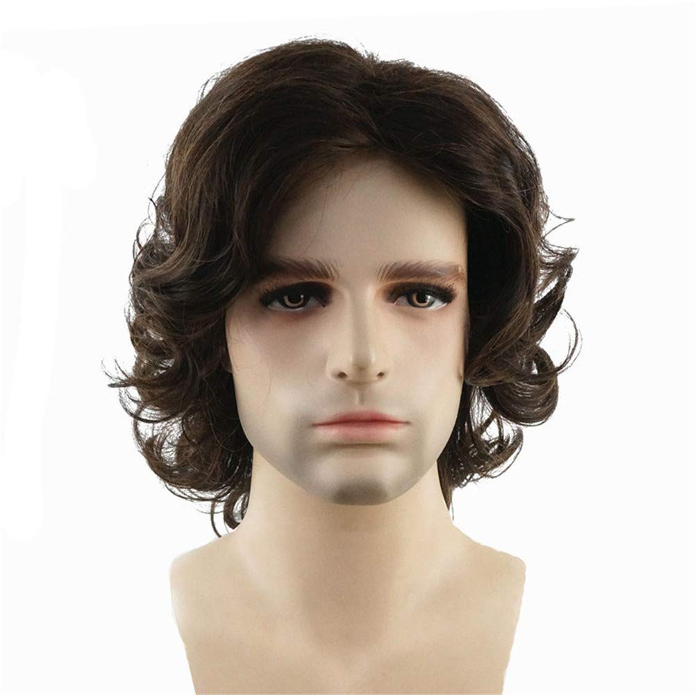 Lydell Long Curly Wavy Synthetic Men Wigs with Bangs for Men Brown