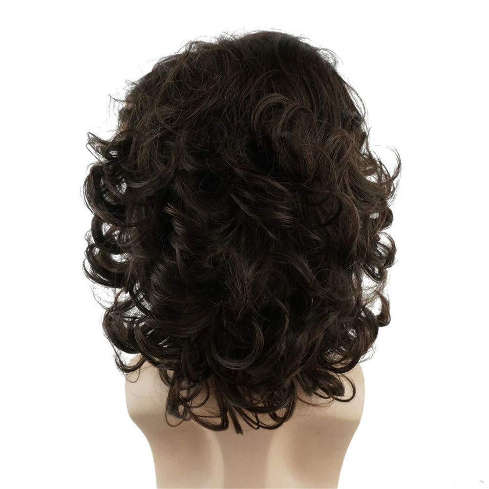 Lydell Long Curly Wavy Synthetic Men Wigs With Bangs For Men Brown