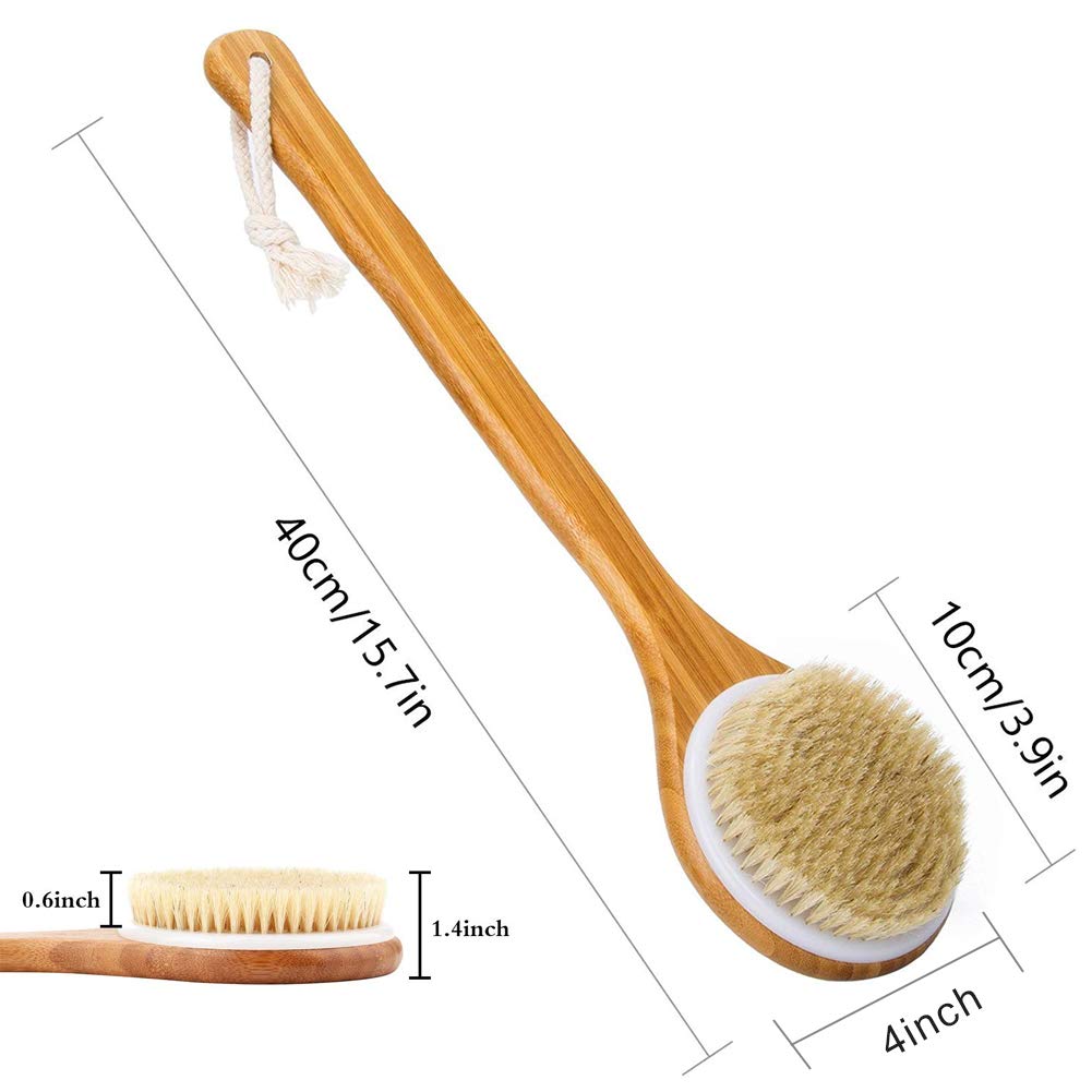 Shower Brush With Natural Bristle - Long Bamboo Handle Bath Body Brush For Wet Or Dry Brushing - Improves Blood Circulation, Exf